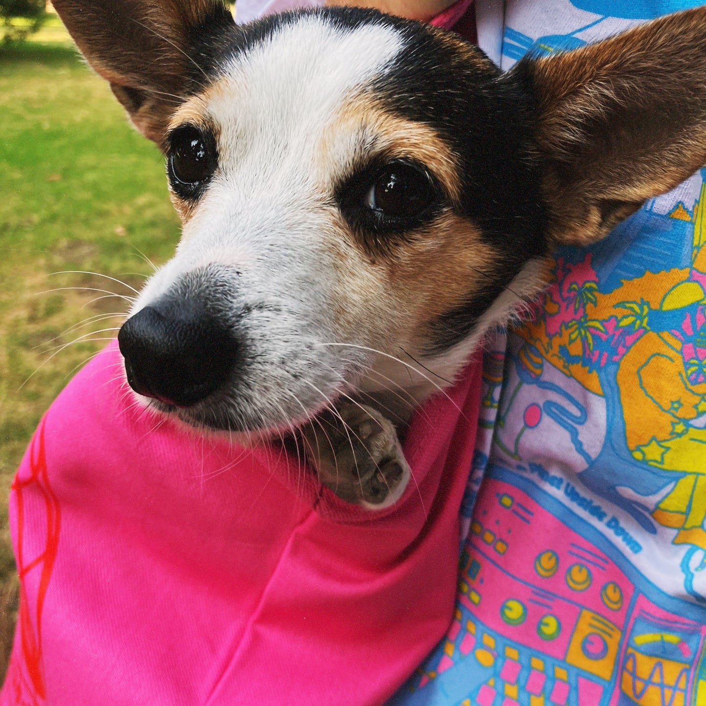 Pink tote bag: P&TO WORLD